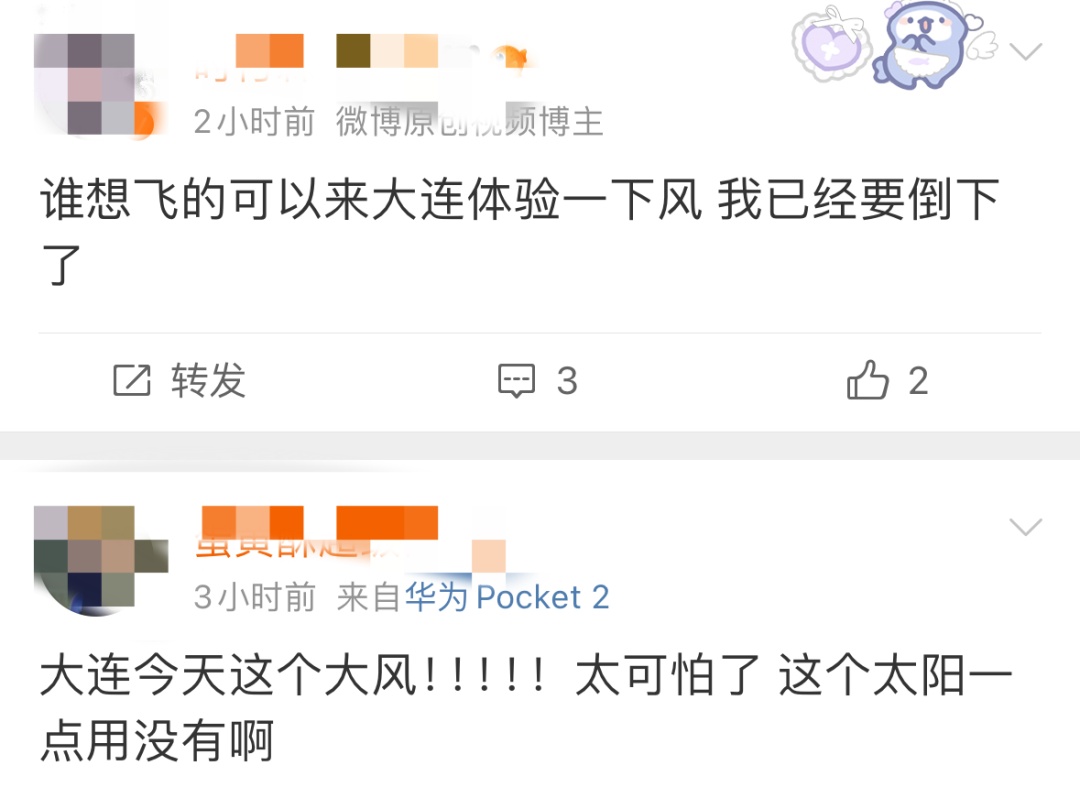 大连十级大风刷屏！大树被连根拔起，航班调整……网友：刮出了推背感！