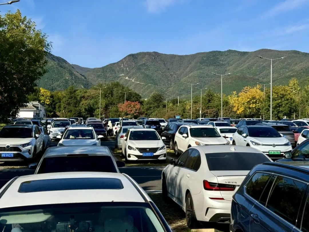 香山红叶季!哪里最好看?怎么出行?攻略来了—— 香山红叶季!哪里最好看?怎么出行?攻略来了——