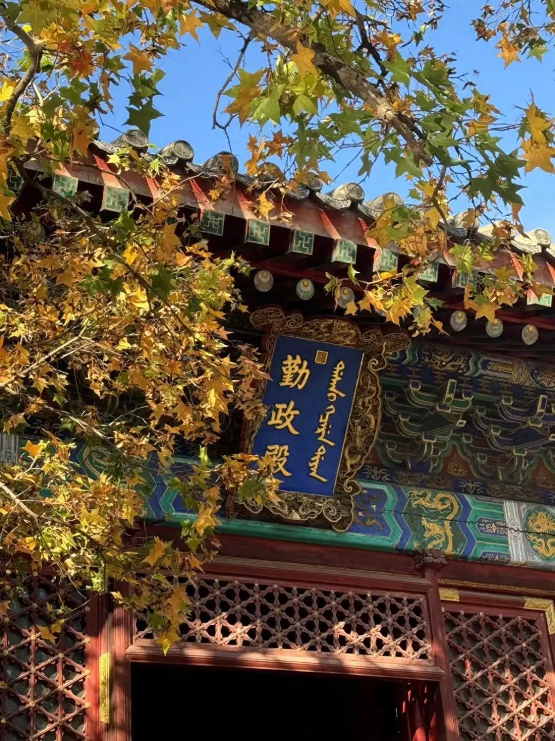 香山红叶季!哪里最好看?怎么出行?攻略来了—— 香山红叶季!哪里最好看?怎么出行?攻略来了——