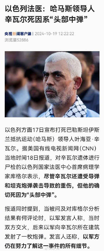 以法医称辛瓦尔死因系头部中弹 以法医称辛瓦尔死因系头部中弹