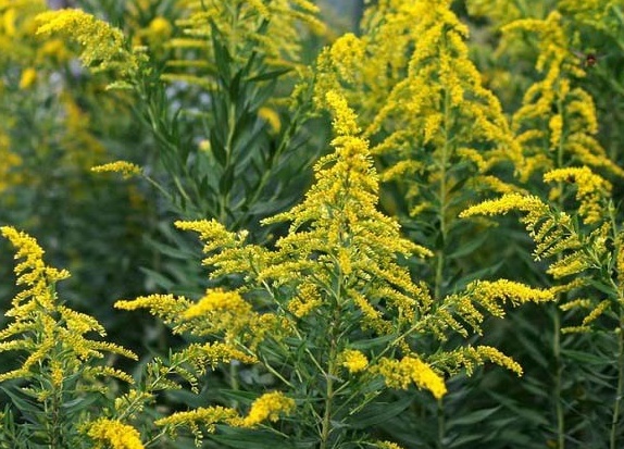 粉色预警!粉色预警!杭州人千万别碰,已经开始...... 粉色预警!粉色预警!杭州人千万别碰,已经开始......