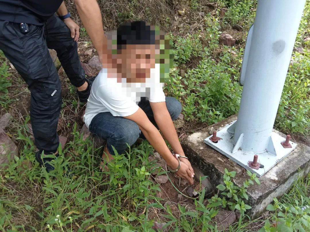 作案20余起!海南3人被刑拘 作案20余起!海南3人被刑拘