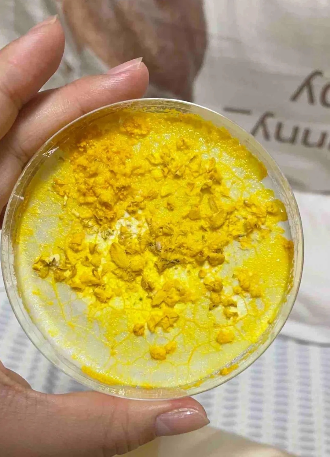 养黏菌当宠物火了，对身体有害吗？