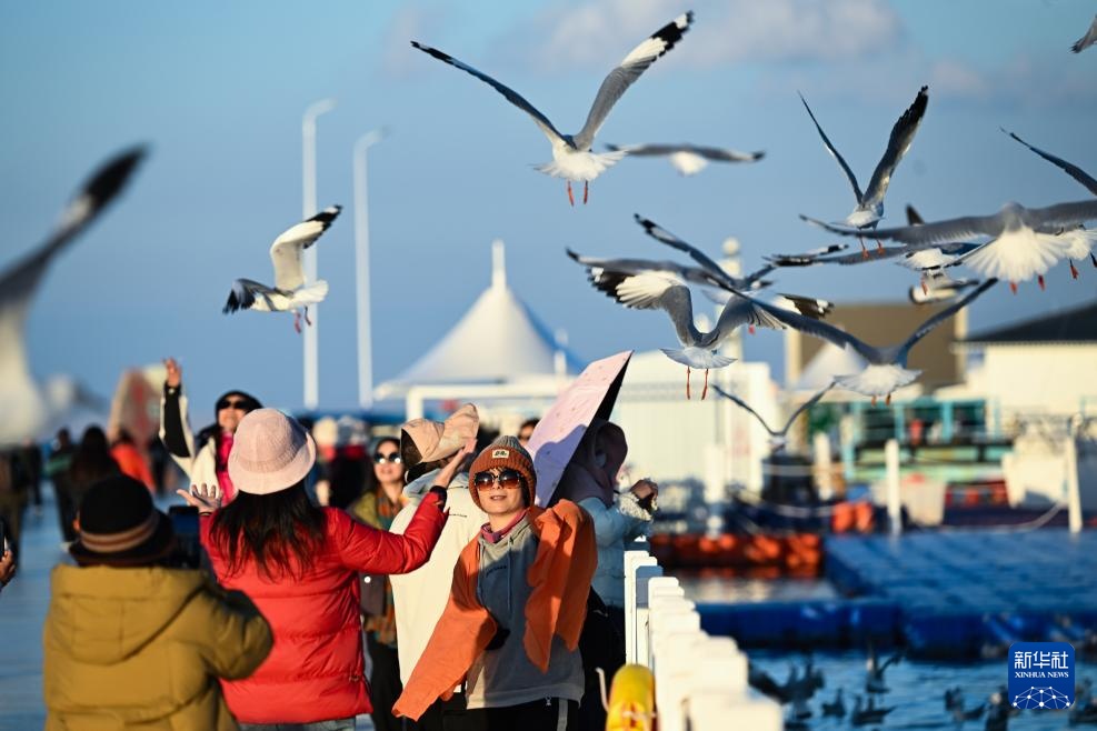 新时代中国调研行之看区域·西部篇|青海湖秋韵 新时代中国调研行之看区域·西部篇|青海湖秋韵