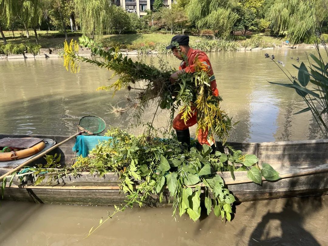 粉色预警!粉色预警!杭州人千万别碰,已经开始...... 粉色预警!粉色预警!杭州人千万别碰,已经开始......