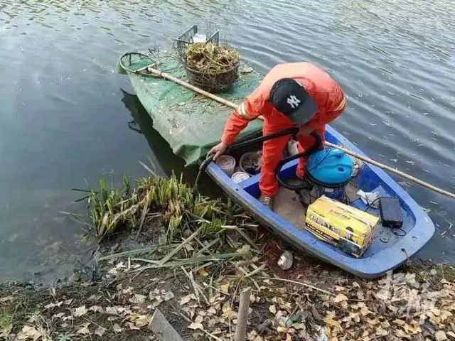 粉色预警!粉色预警!杭州人千万别碰,已经开始...... 粉色预警!粉色预警!杭州人千万别碰,已经开始......