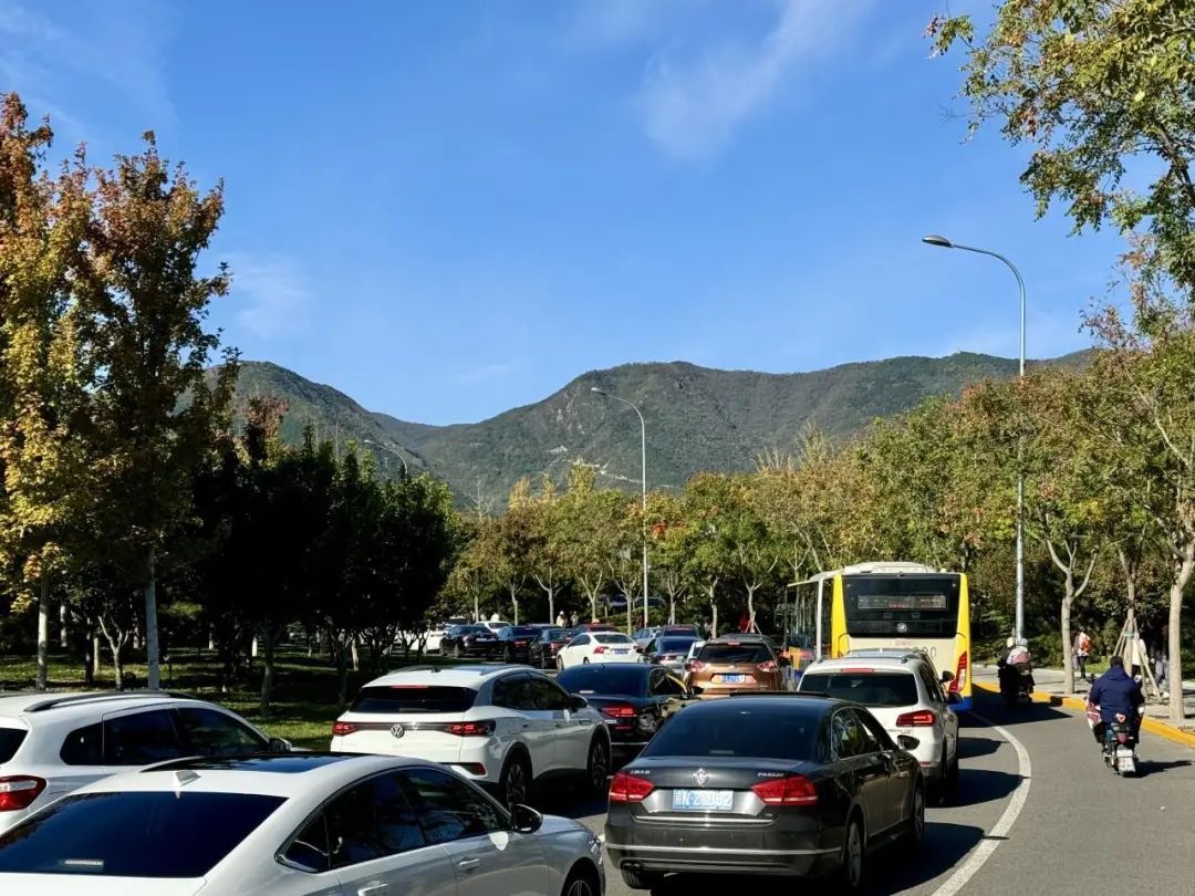 香山红叶季!哪里最好看?怎么出行?攻略来了—— 香山红叶季!哪里最好看?怎么出行?攻略来了——