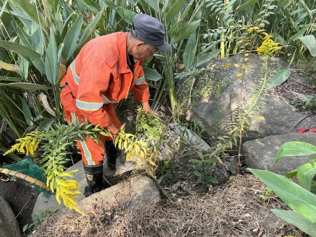粉色预警!粉色预警!杭州人千万别碰,已经开始...... 粉色预警!粉色预警!杭州人千万别碰,已经开始......