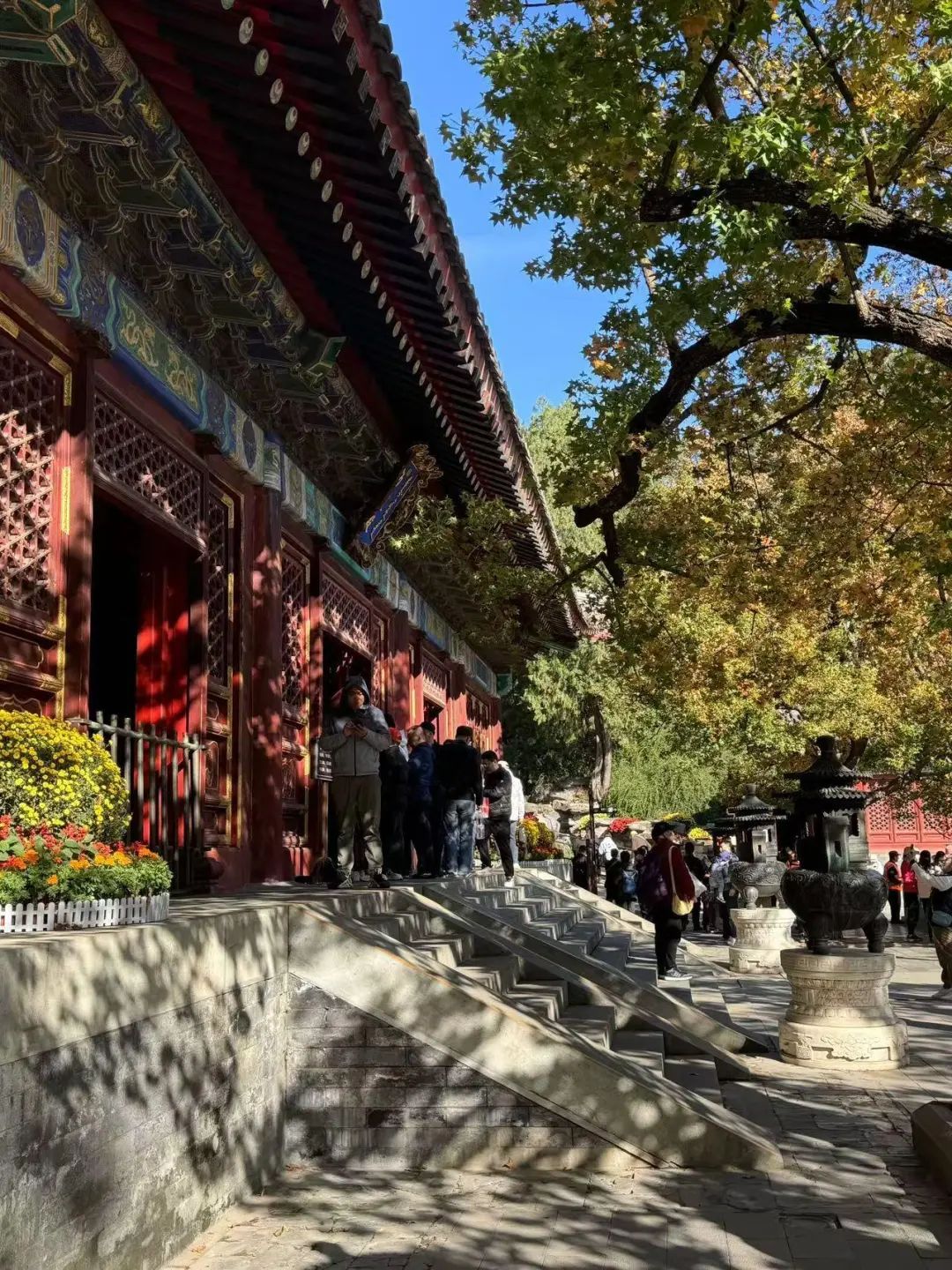 香山红叶季!哪里最好看?怎么出行?攻略来了—— 香山红叶季!哪里最好看?怎么出行?攻略来了——