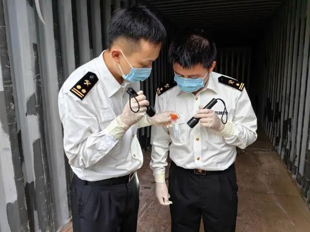 宁波海关截获15只非洲蚊子!国内无分布,研究表明含多种病毒! 宁波海关截获15只非洲蚊子!国内无分布,研究表明含多种病毒!