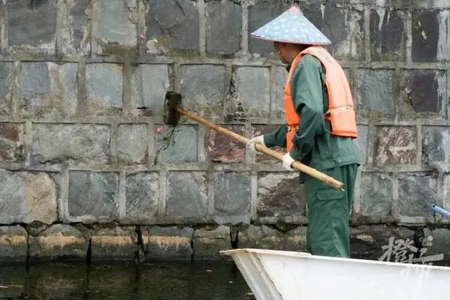粉色预警!粉色预警!杭州人千万别碰,已经开始...... 粉色预警!粉色预警!杭州人千万别碰,已经开始......