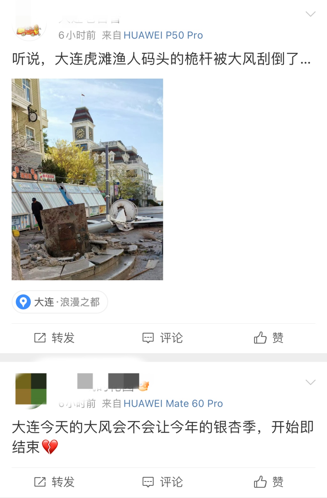 大连十级大风刷屏！大树被连根拔起，航班调整……网友：刮出了推背感！
