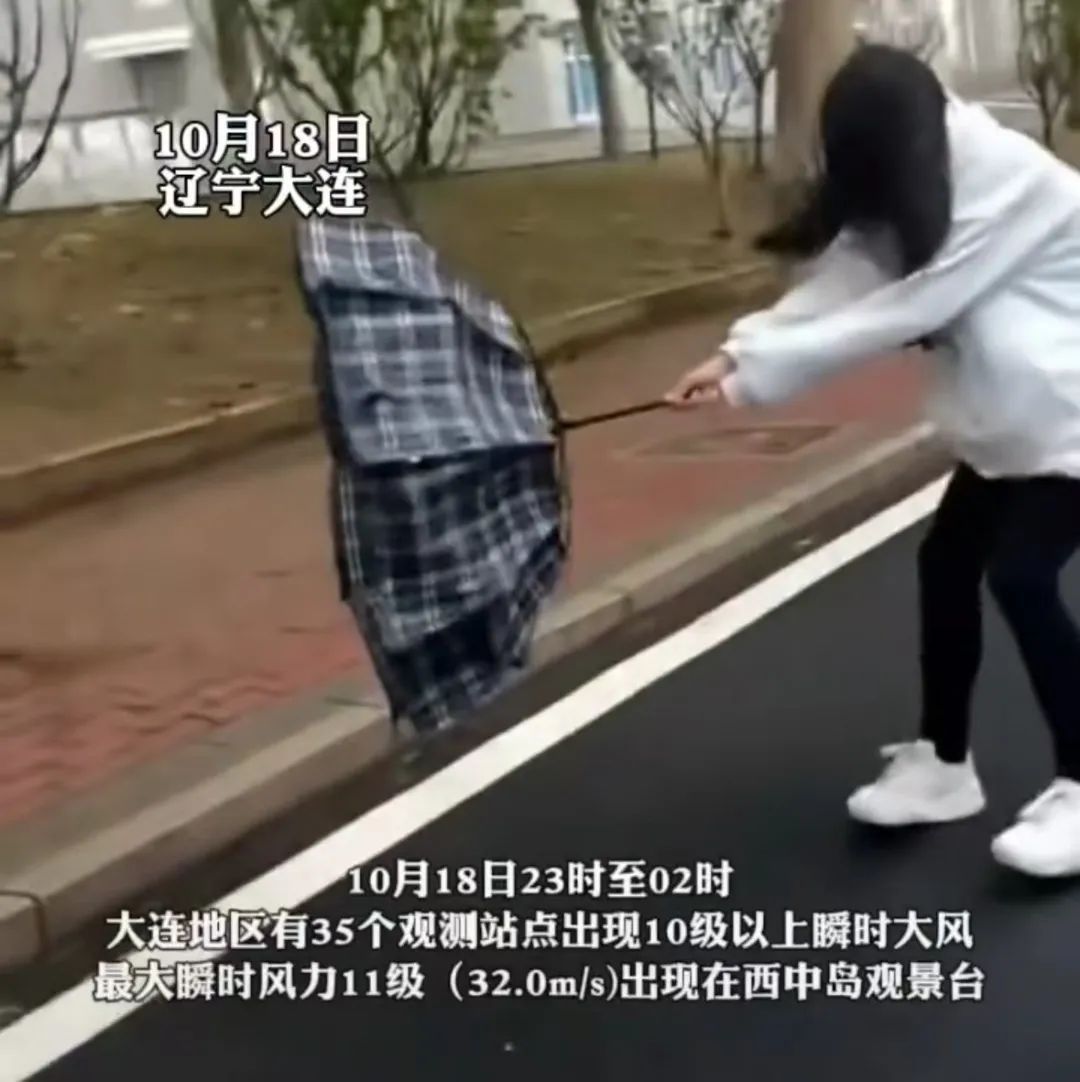 大连十级大风刷屏！大树被连根拔起，航班调整……网友：刮出了推背感！
