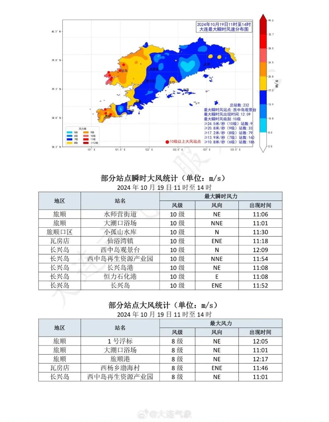大连十级大风刷屏！大树被连根拔起，航班调整……网友：刮出了推背感！
