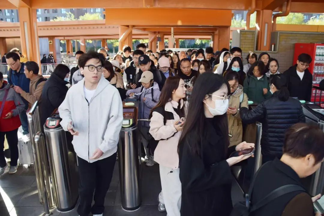 香山红叶季!哪里最好看?怎么出行?攻略来了—— 香山红叶季!哪里最好看?怎么出行?攻略来了——