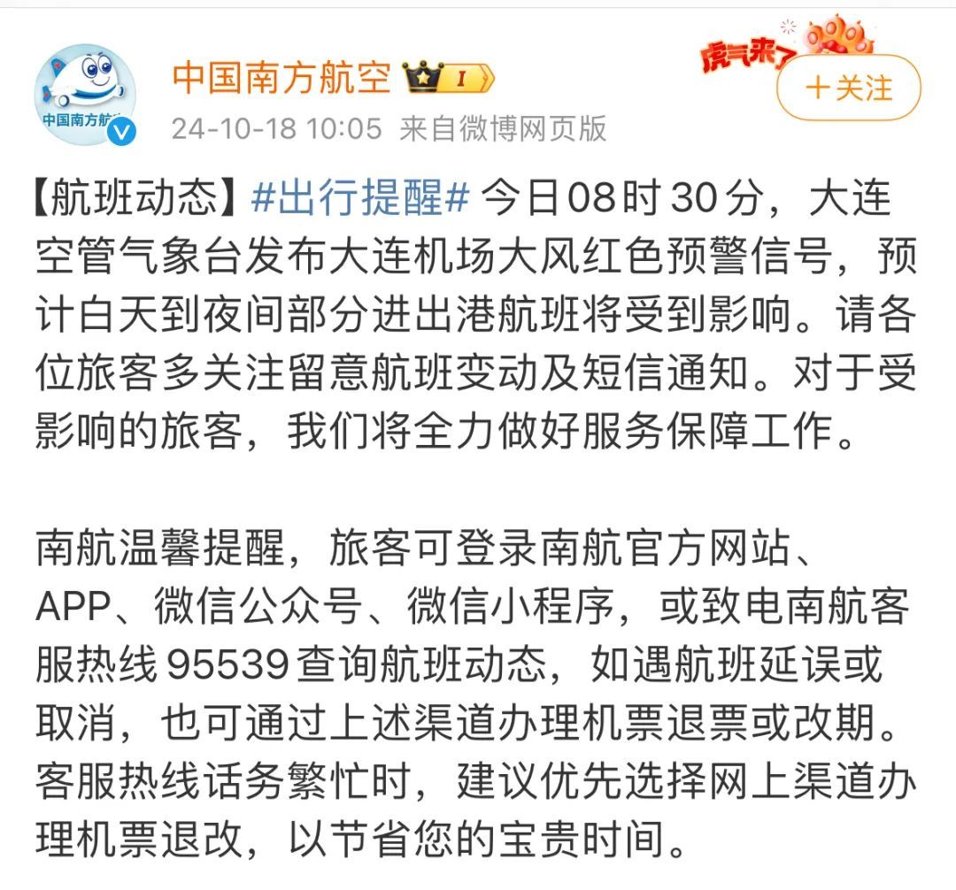 大连十级大风刷屏！大树被连根拔起，航班调整……网友：刮出了推背感！