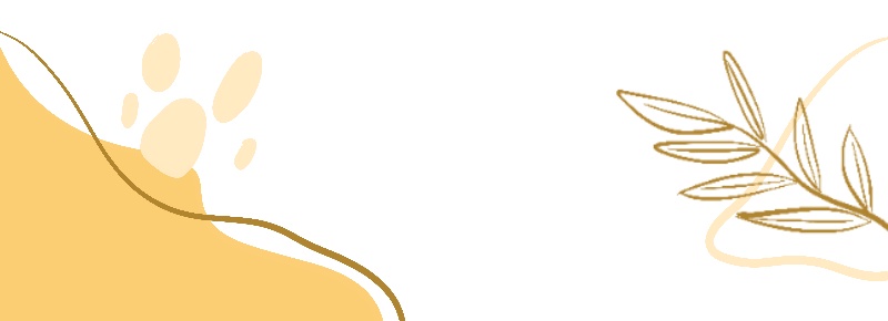 降温幅度超过10℃!江苏接下来迎接一波降水…… 降温幅度超过10℃!江苏接下来迎接一波降水……