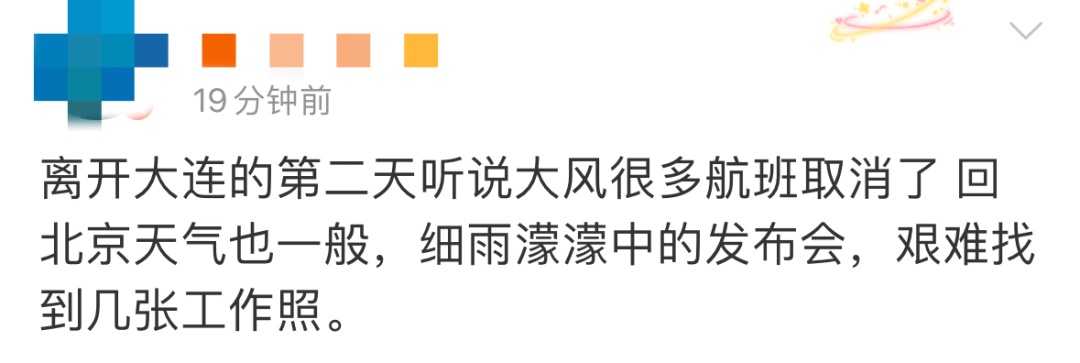 大连十级大风刷屏！大树被连根拔起，航班调整……网友：刮出了推背感！