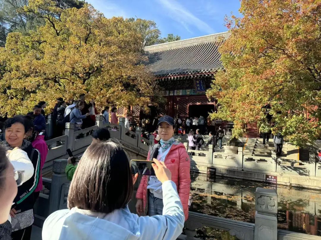 香山红叶季!哪里最好看?怎么出行?攻略来了—— 香山红叶季!哪里最好看?怎么出行?攻略来了——