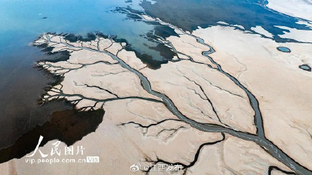 鄱阳湖进入极枯水期，湖底再现“大地之树”景观
