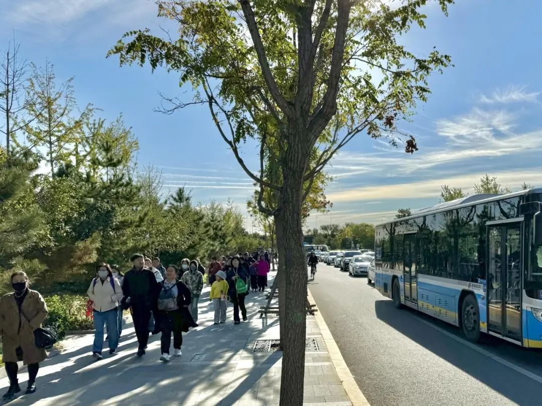 香山红叶季!哪里最好看?怎么出行?攻略来了—— 香山红叶季!哪里最好看?怎么出行?攻略来了——