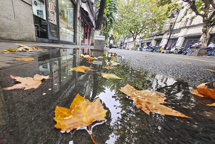 温州人注意，下周有一波冷空气要来