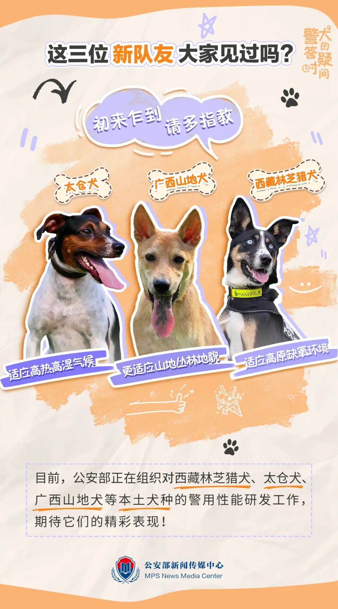 哥一上线,迷倒一片! 哥一上线,迷倒一片!