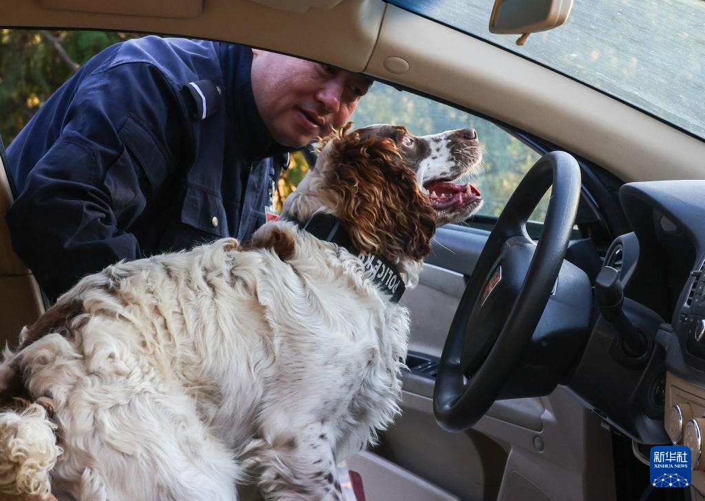全国警犬技术比赛在京进行 全国警犬技术比赛在京进行