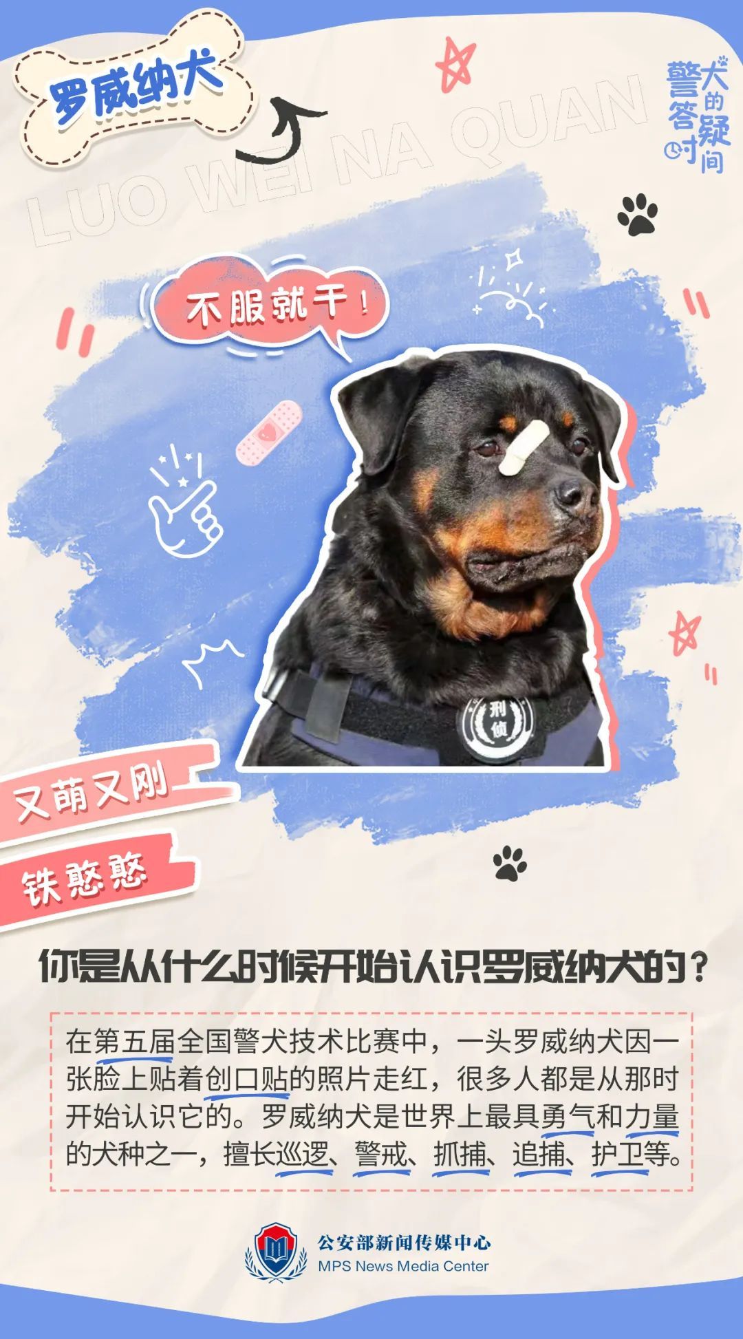 哥一上线,迷倒一片! 哥一上线,迷倒一片!