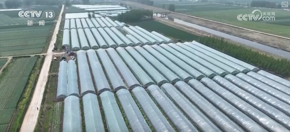 冬储菜供应充足 “老三样”销售旺 百姓“菜篮子”量足价稳