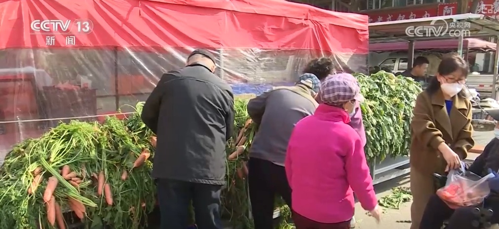 冬储菜供应充足 “老三样”销售旺 百姓“菜篮子”量足价稳