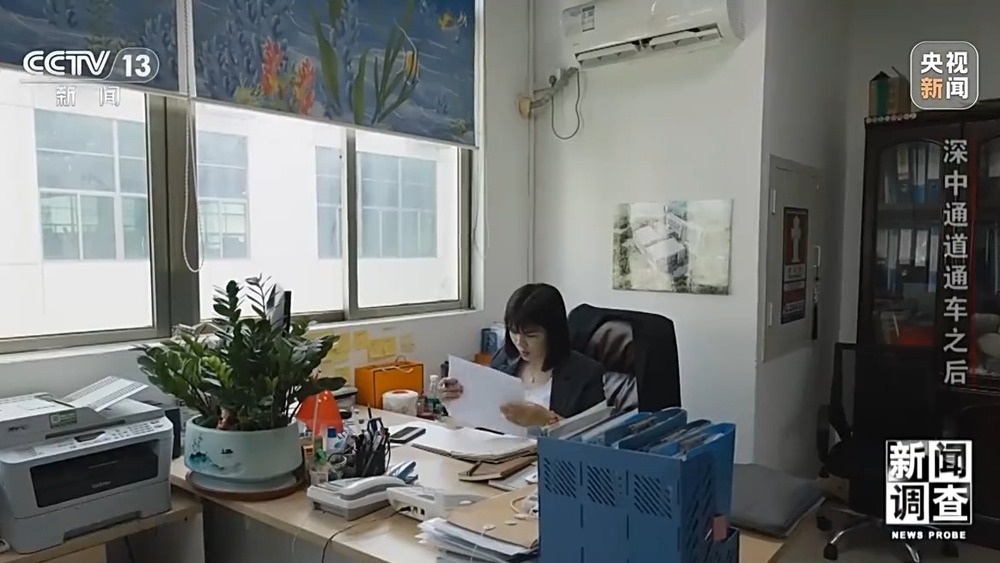 新闻调查丨“一小时生活圈”加速形成 深中通道通车后大湾区“变小”了