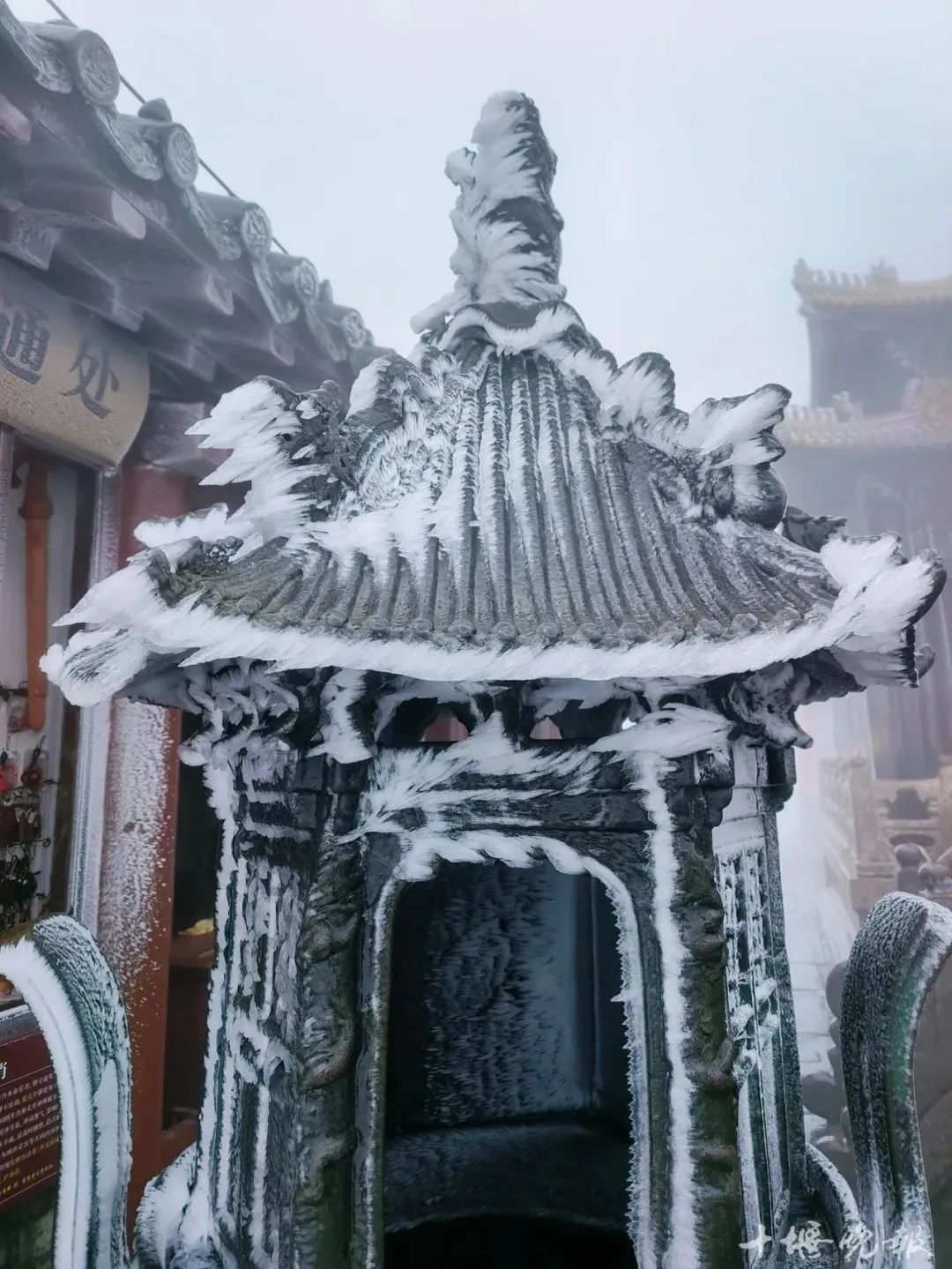 湖北今天下雪了？现场图来了