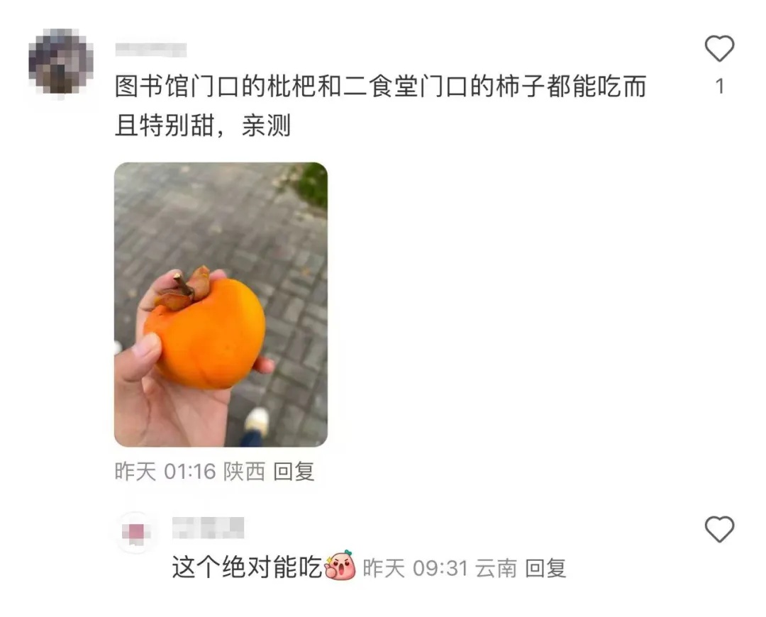 西外学生：图书馆门前的梨子能吃吗？回复亮了……
