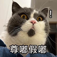 佛山现“戴珍珠项链”鸟儿！警民联手暖心救助