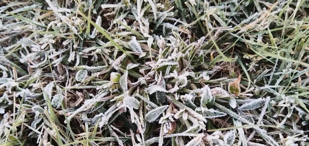 提醒！北京下周雨接着下！还有部分道路交通管制→