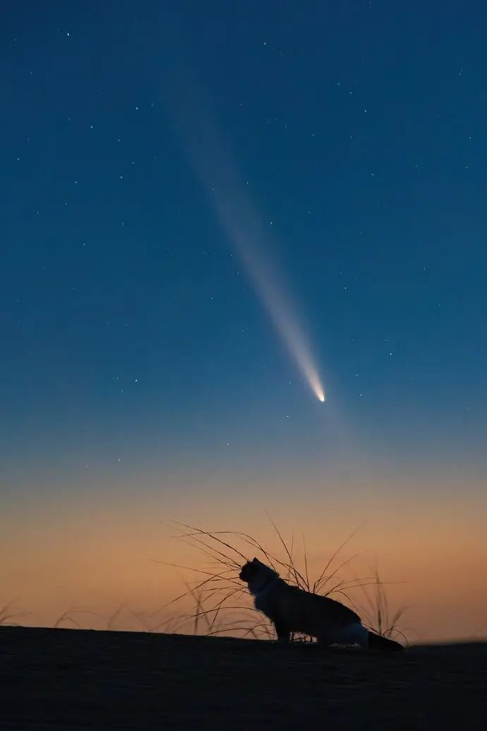 六万年一遇!这颗彗星正在最佳观测期 六万年一遇!这颗彗星正在最佳观测期