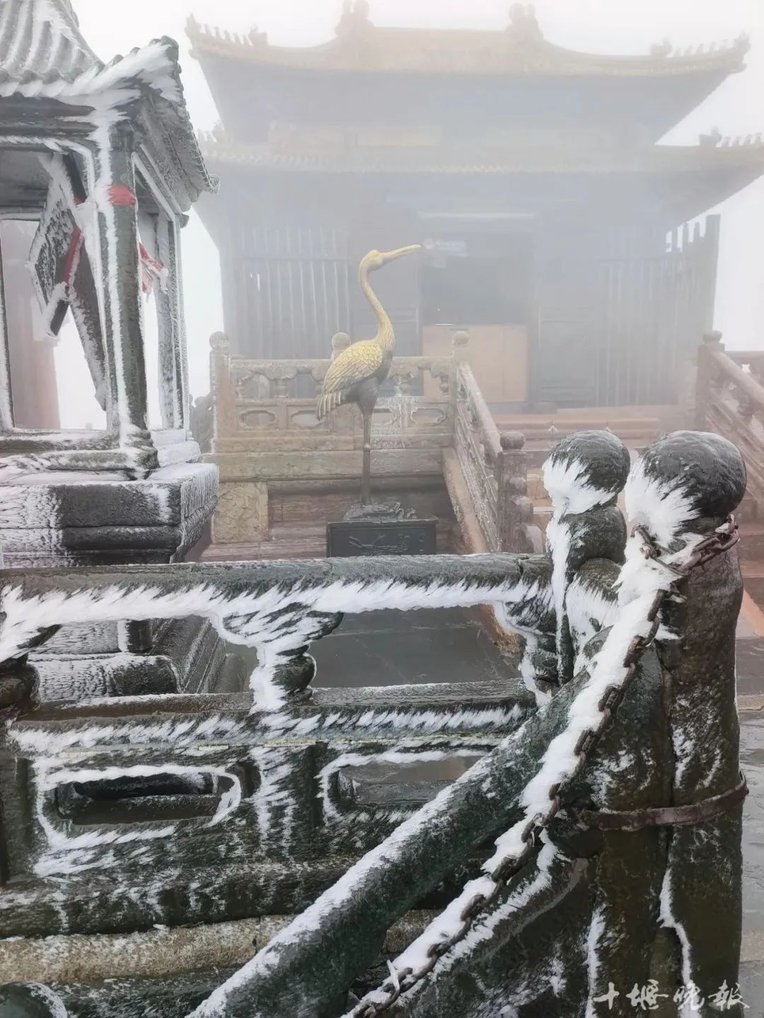 湖北今天下雪了？现场图来了