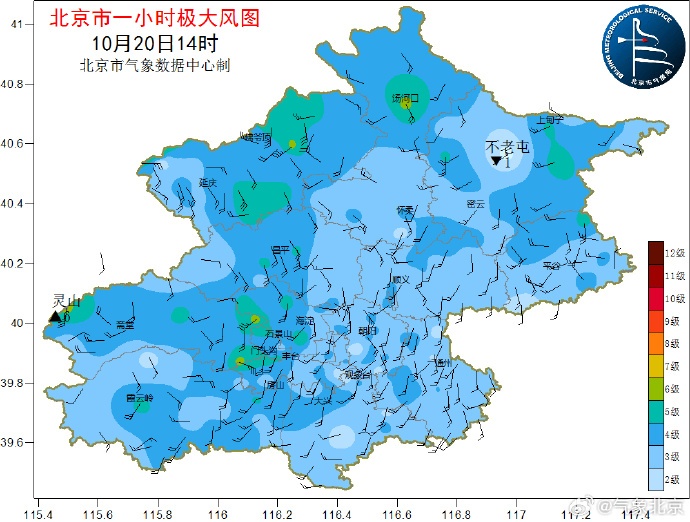 北京下雪了！明日出行提示