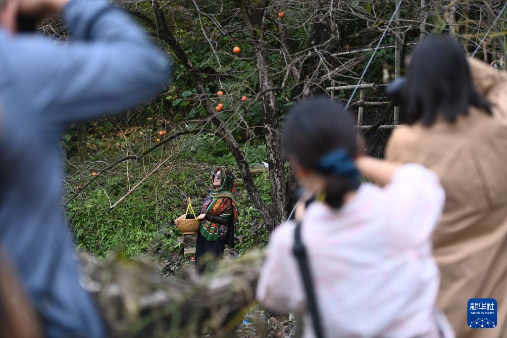 浙江余姚：古村柿红人气旺