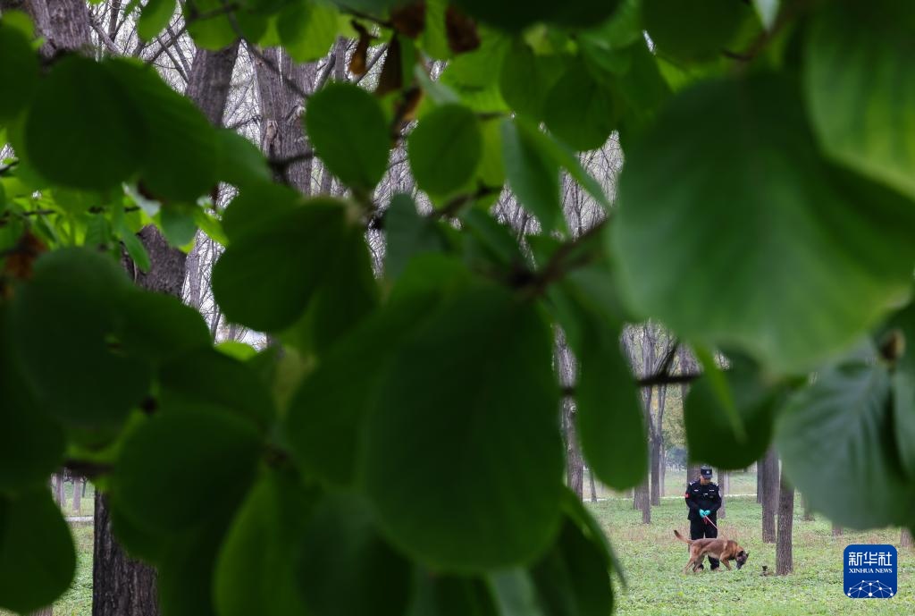全国警犬技术比赛在京进行 全国警犬技术比赛在京进行