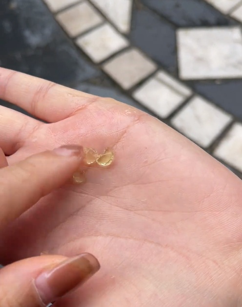 “一地都是，软软弹弹”，西安下雨下了一场奶茶脆波波？气象台：这是霰！