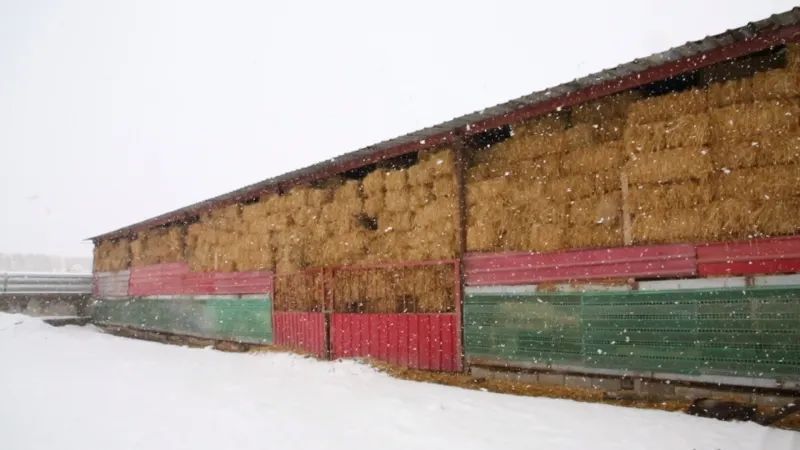 风雪“上线”!哈密市各部门多举措积极应对 风雪“上线”!哈密市各部门多举措积极应对