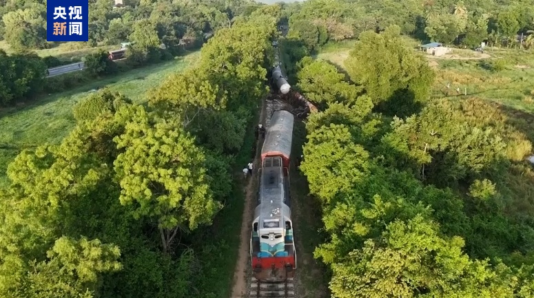 斯里兰卡一火车冲入象群,致两头大象死亡 斯里兰卡一火车冲入象群,致两头大象死亡