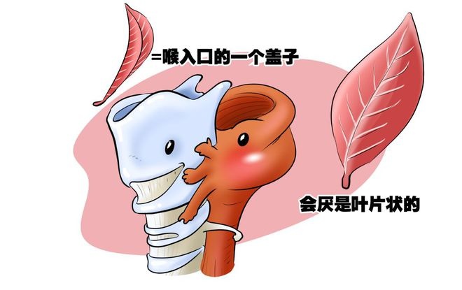 门诊数量急剧上升,真会要人命!勿摘!勿捡!勿吃! 门诊数量急剧上升,真会要人命!勿摘!勿捡!勿吃!