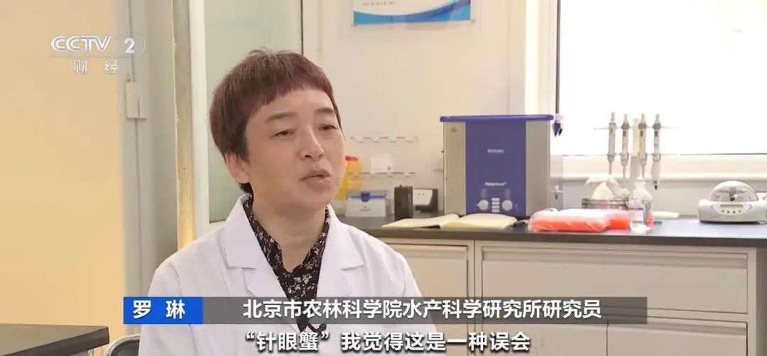肚皮有"针眼"，是买到了"注水蟹"？央视出手