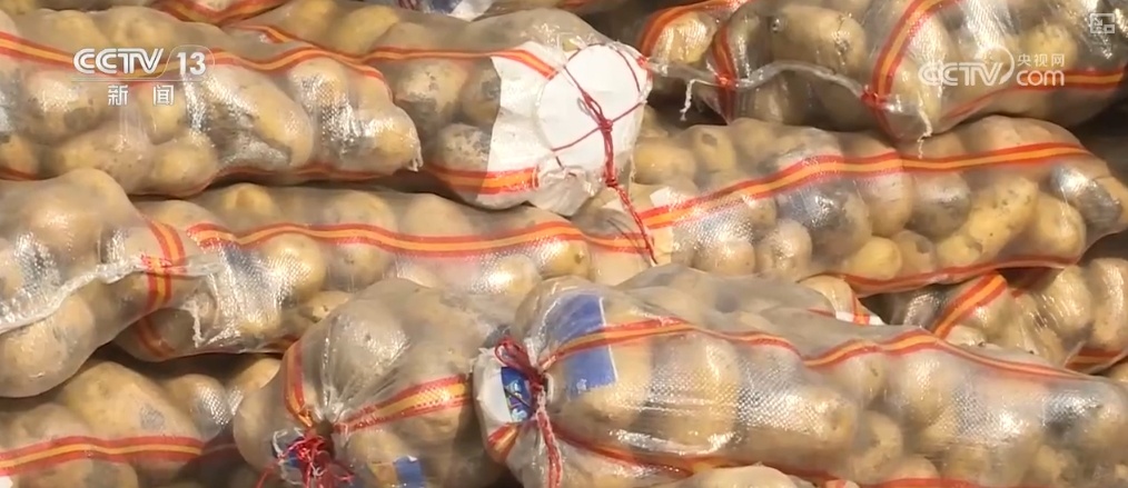 冬储菜供应充足 “老三样”销售旺 百姓“菜篮子”量足价稳