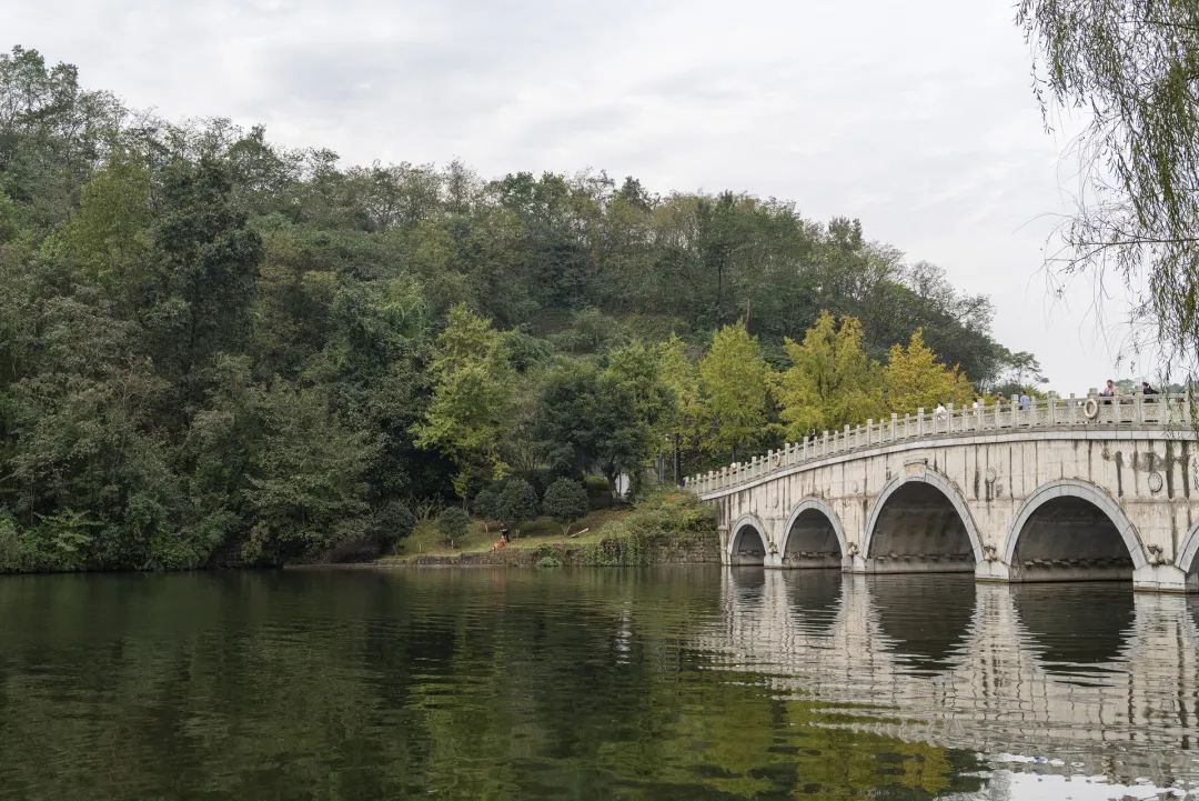 秋色醉人!重庆这些公园好逛又好拍 秋色醉人!重庆这些公园好逛又好拍