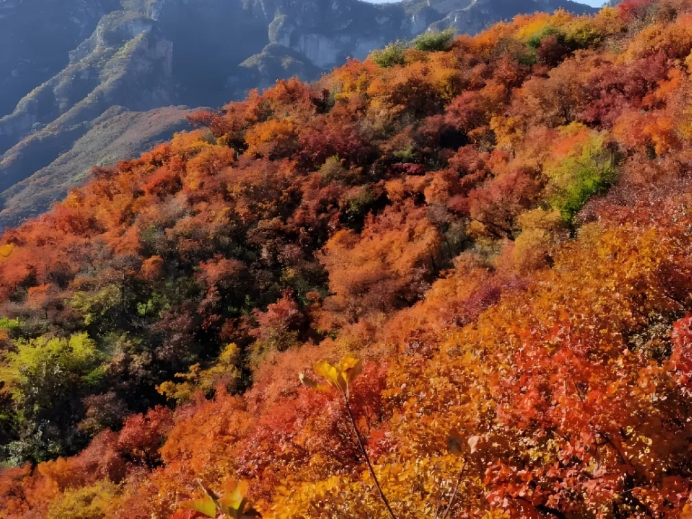 提醒！北京下周雨接着下！还有部分道路交通管制→