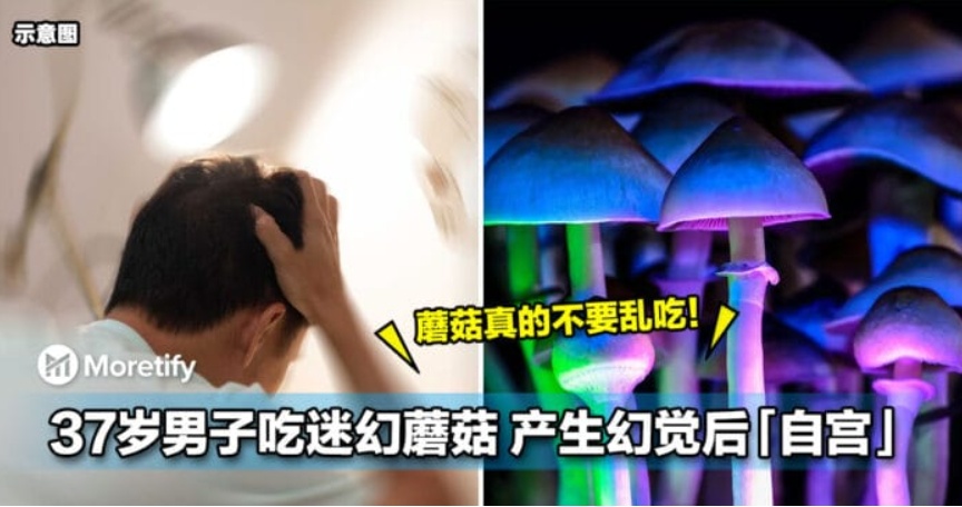 别上当！这“板栗”有毒，严重可致死！